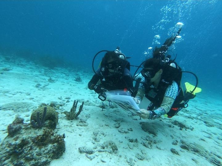 Dos buzos científicos tomando datos en el fondo marino